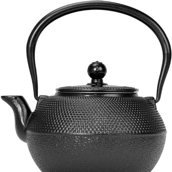 Iron Japanese Tetusubin Teapot Function Junction